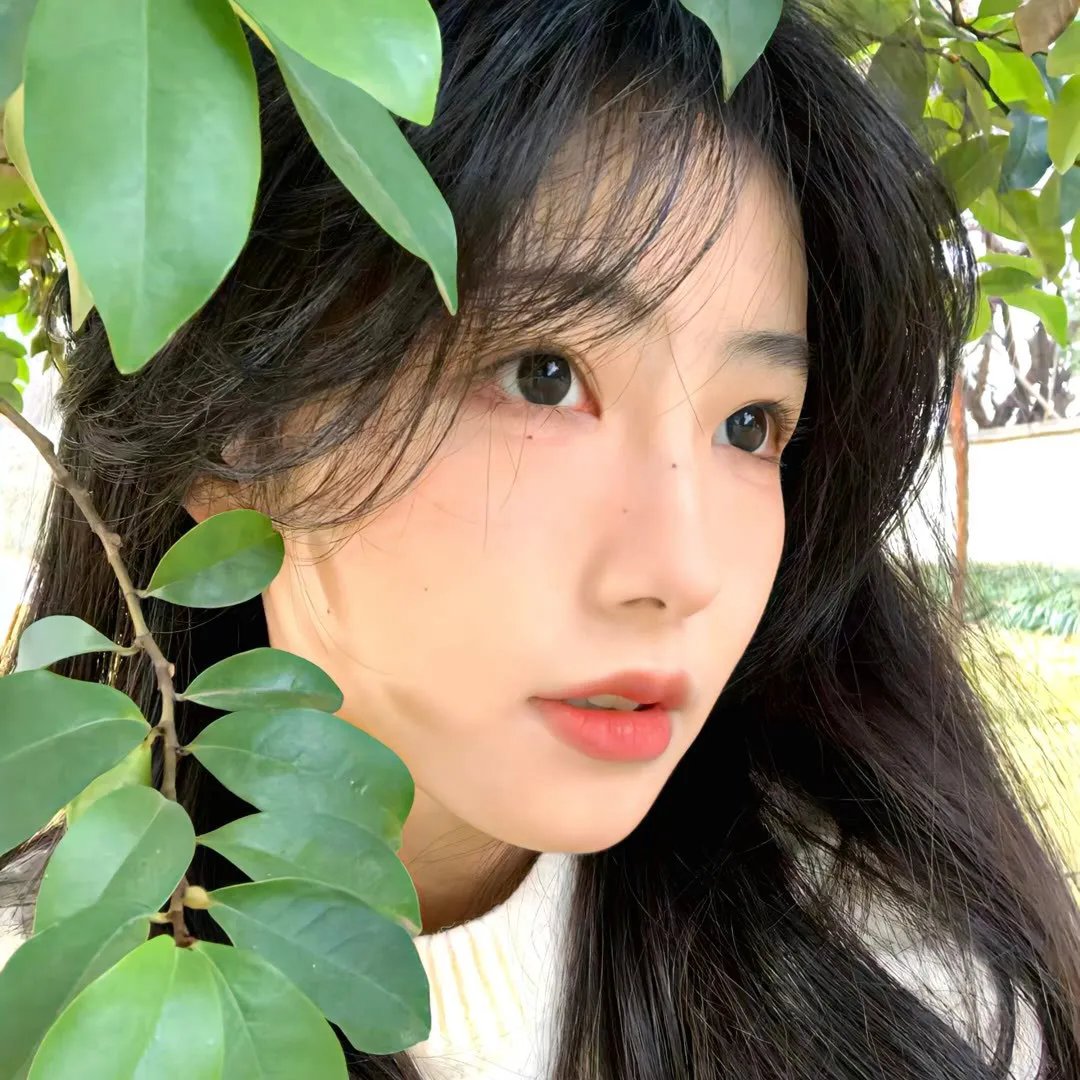 团子大家族第一季